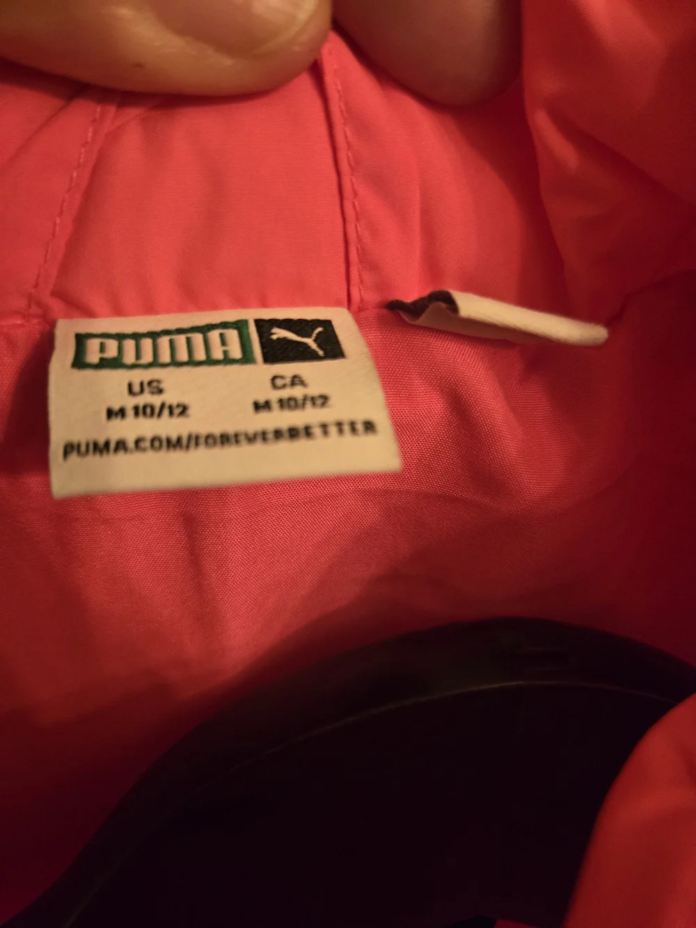 Puma bright hot